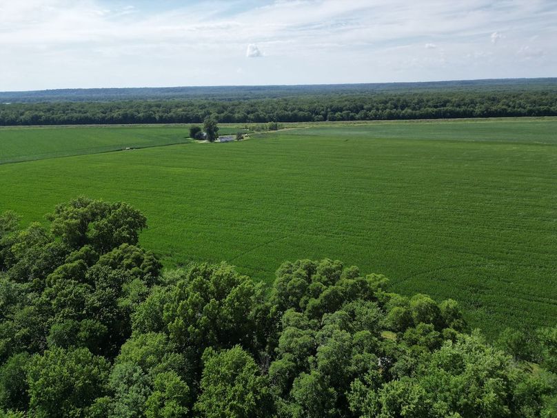 DJI_0382