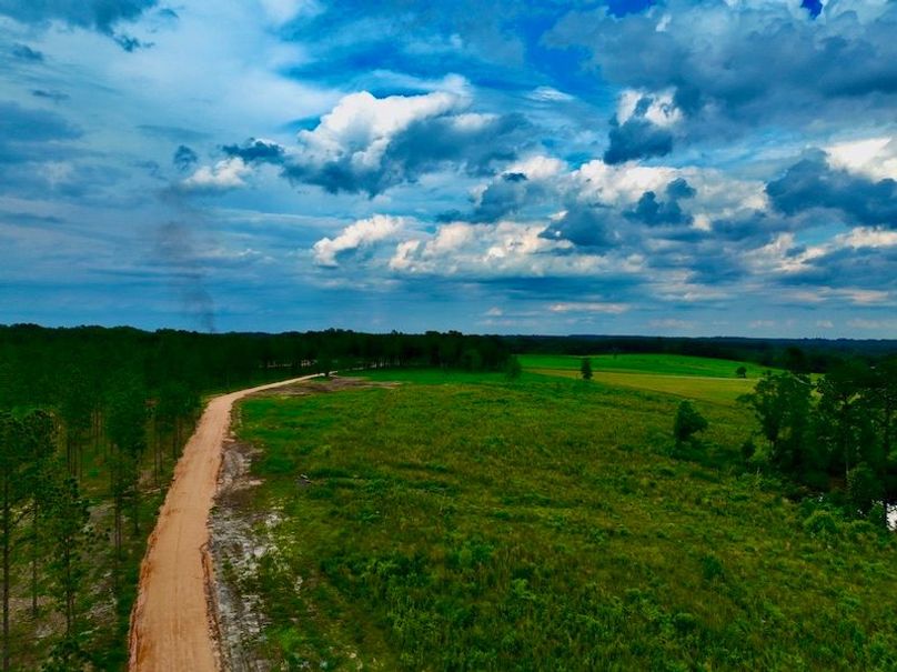 C81561E9-C470-4075-B6F2-02F84346F917_1_105_c