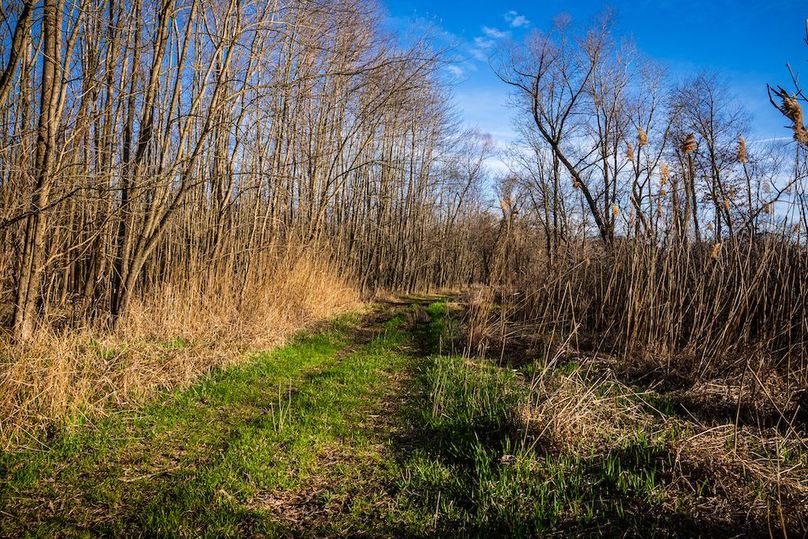 St Clair IL 263.95 Featured_Pro Photo-12