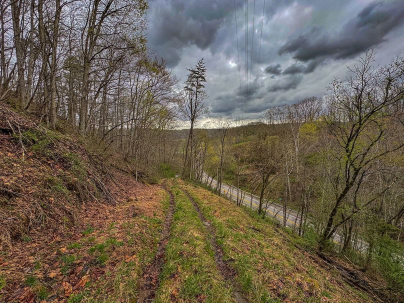 Wirt, WV 39.564 AC Full-07