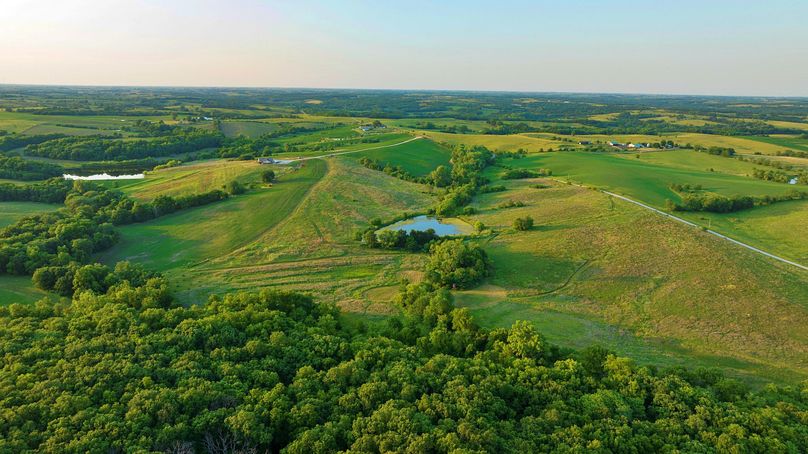 Harrison MO 480 Pro Photo_230 (12)