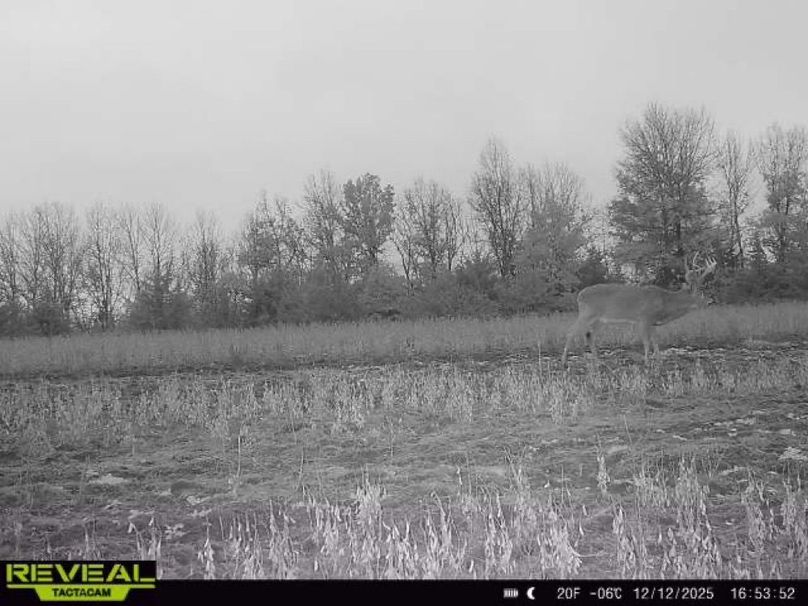 865814042165447-100-1-12122025165352-W1001330