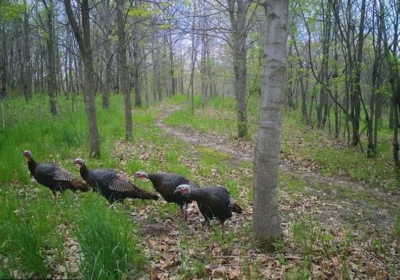 865509050473549-50-4-05092024082052-V-W1012562