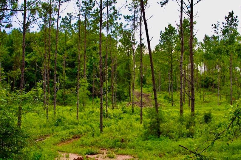 37149B3B-667A-4077-AB61-65A9B44F2939_1_105_c