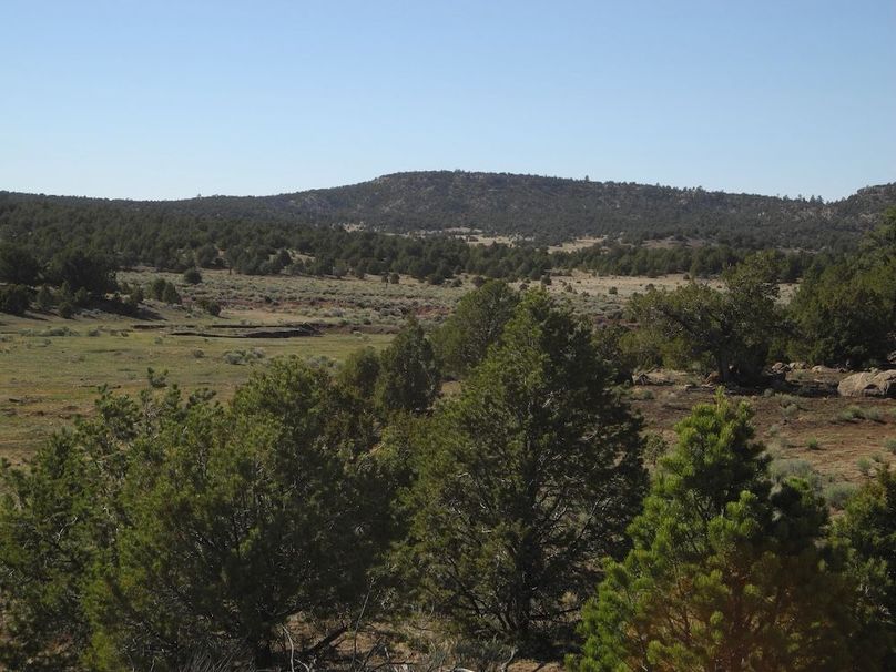 35_Pratt green valley