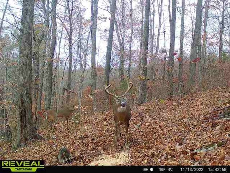 trailcam1