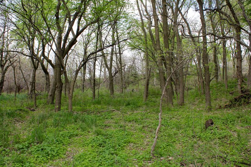 Republic, KS, 155.8_025