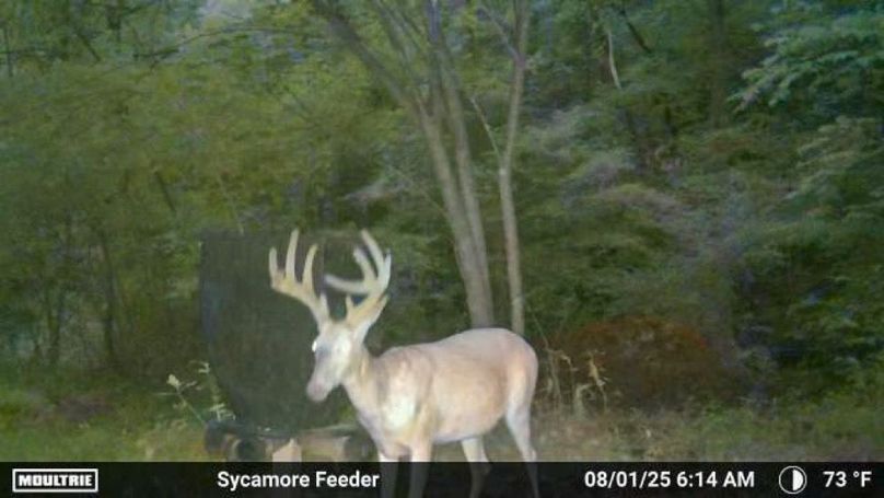 Fleming Petry 120-031