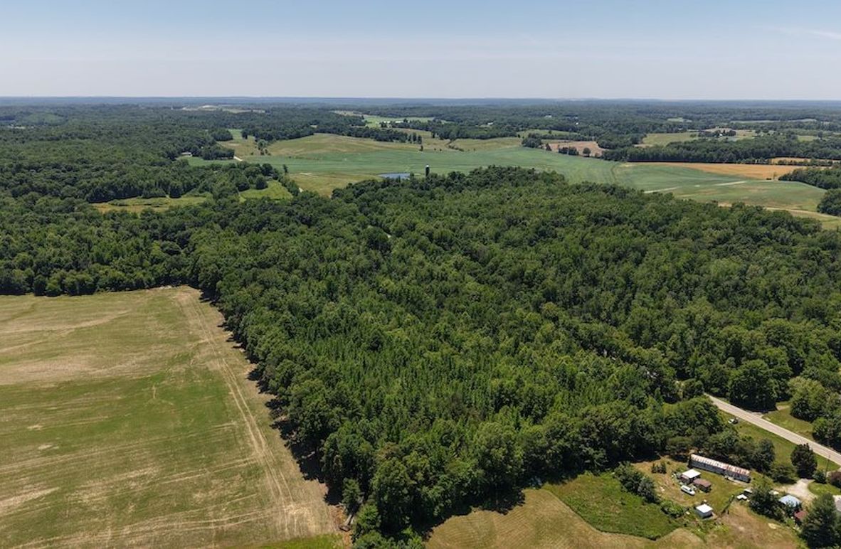dji_fly_20260602_140548_0115_1780423566806_photo