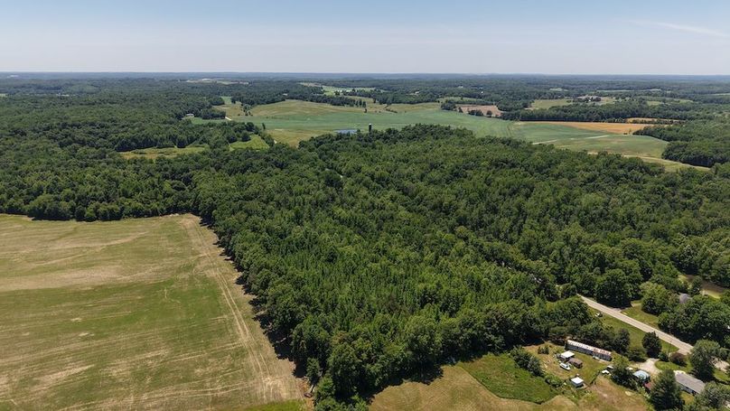 dji_fly_20260602_140548_0115_1780423566806_photo