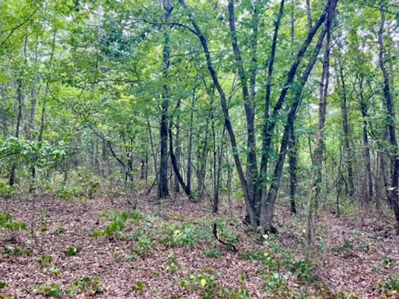 6E9B2643-29CB-4796-84AA-B2A3287819B9_4_5005_c