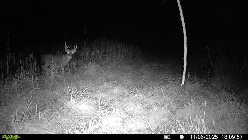 016579007498152-100-4-11062025180957-SYFW01523