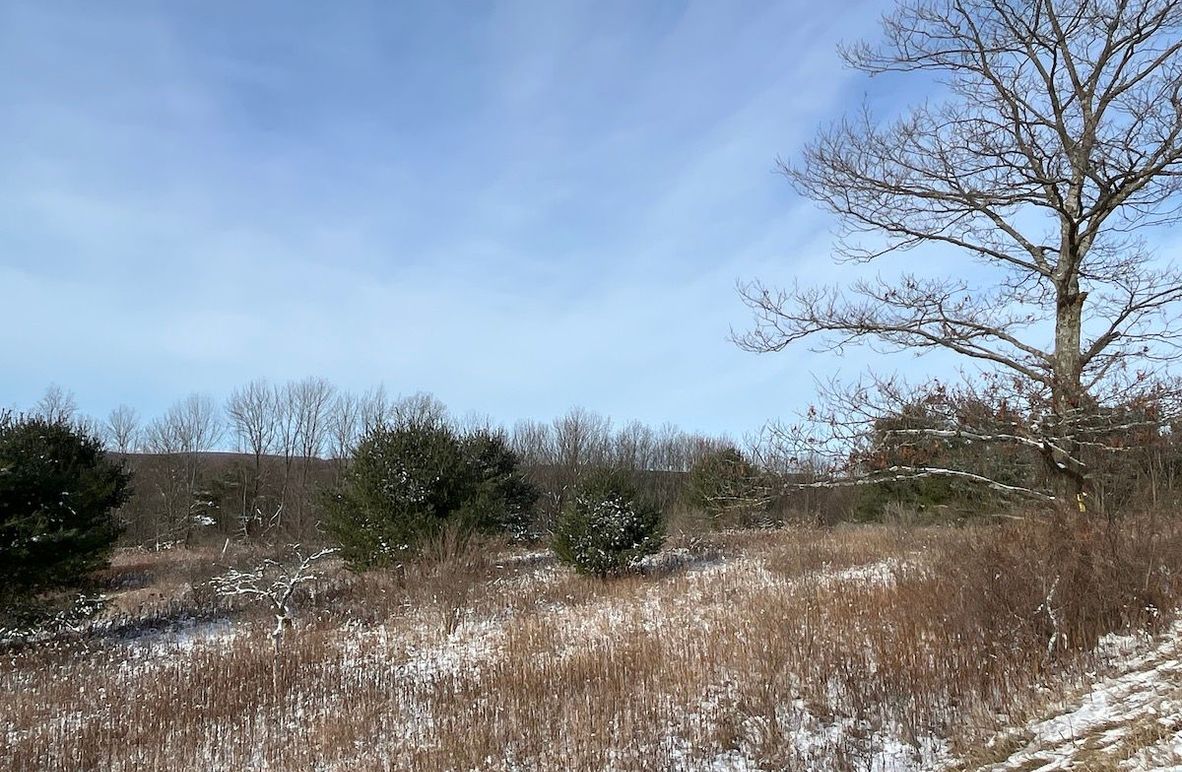 Chemung_29.78_LippincottPhoto 4