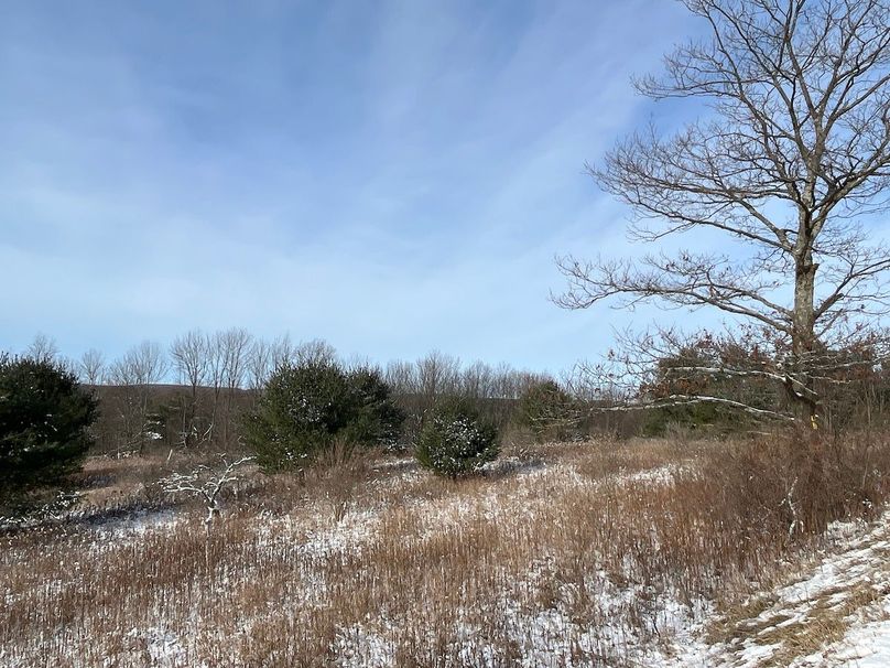 Chemung_29.78_LippincottPhoto 4