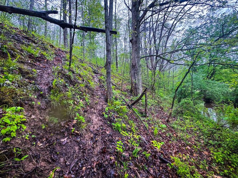 Lewis, WV 34.74 AC Graham-11