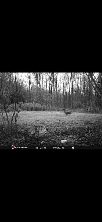 IMG_1413
