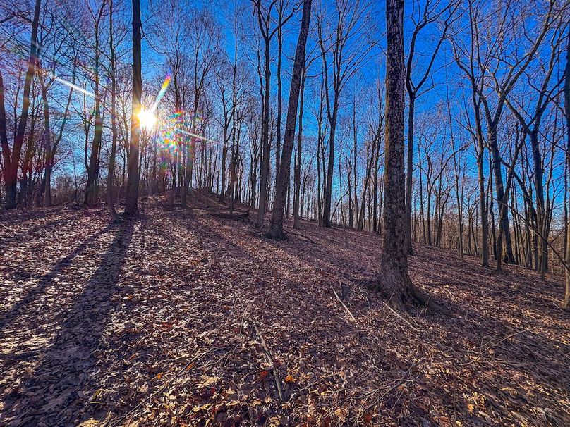 Pleasants, WV 81 AC Barron-33