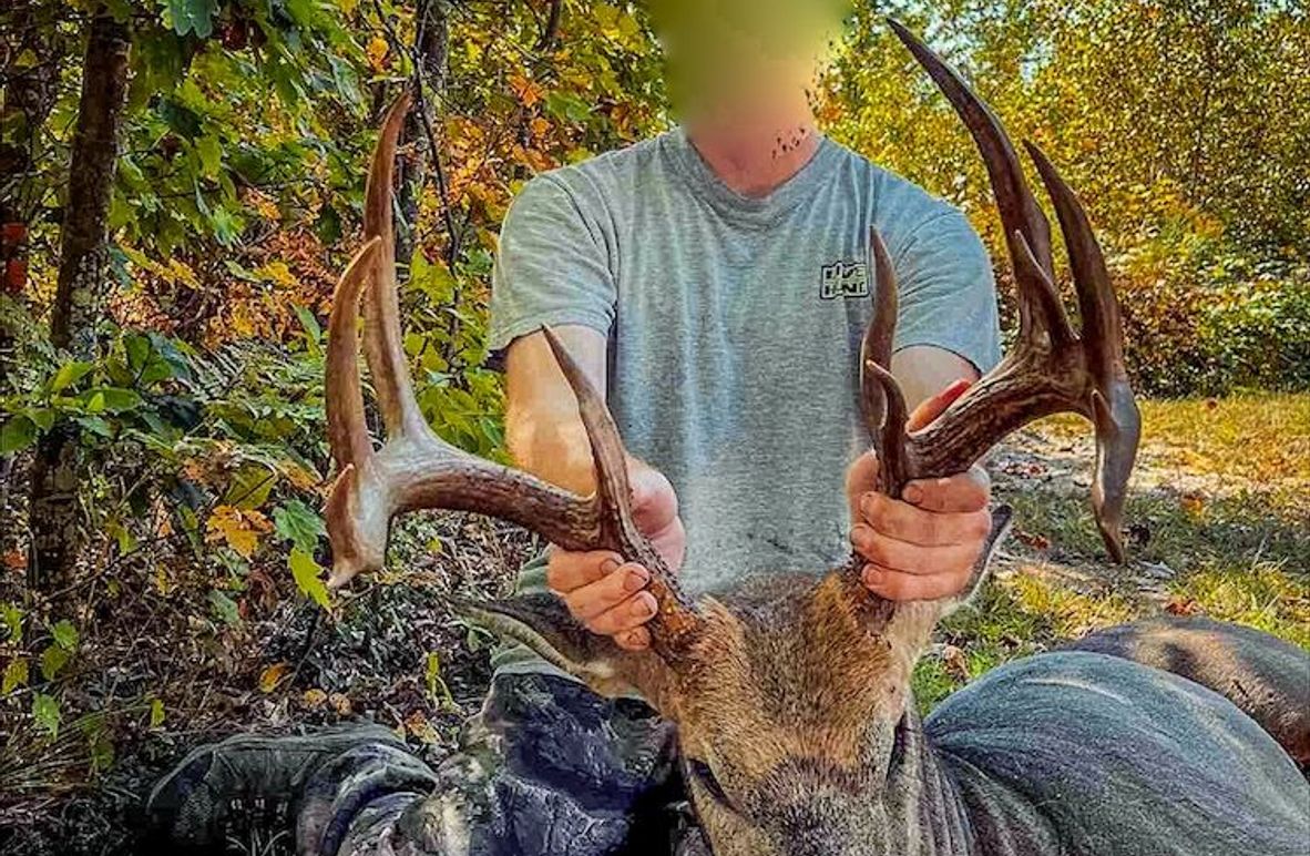 Adams 263 Hale -3