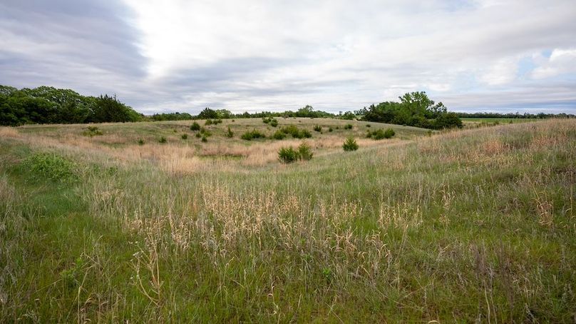 DSC00959