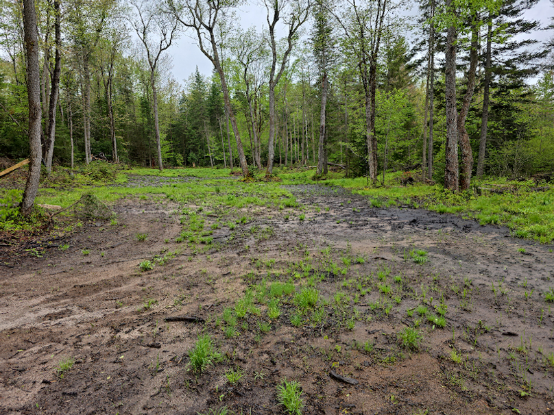 photo_ccf7fba2-a797-4bfd-ada7-4877c9fbf9e5