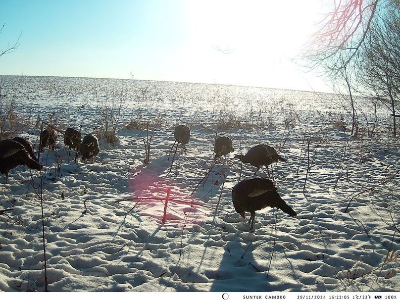 2024-1129-162205_000425