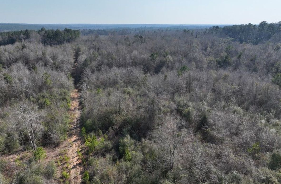 3B4CA8EC-E3B9-41DB-BCA2-1516BB30A714_1_105_c