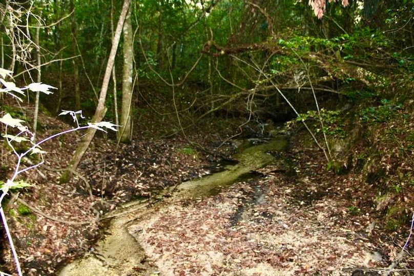 2037E3E9-0457-4F9B-81D1-CCDAB68EB799_1_105_c