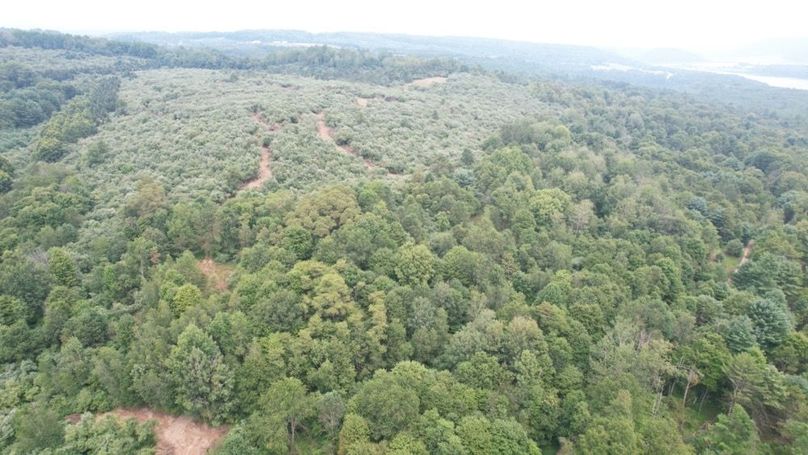 dji_fly_20250806_140712_581_1754530420322_photo