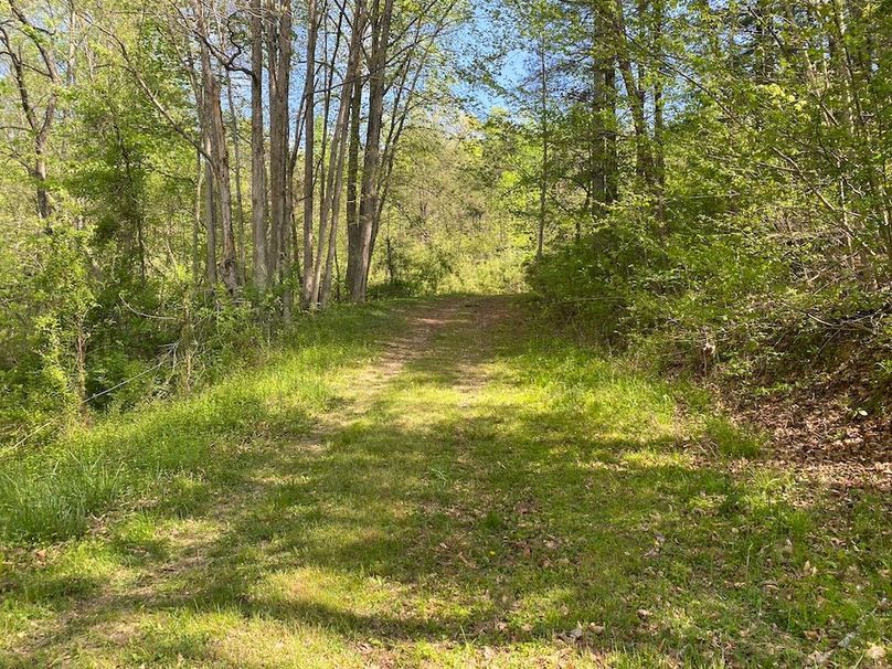 006 road leading up through the property behind the metal garage copy