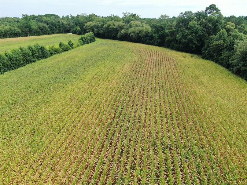 F789DC28-39B3-47A1-83B1-728FCC8AC8E4