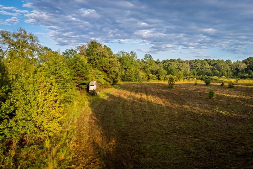 53 DJI_20251007180308_0435_D