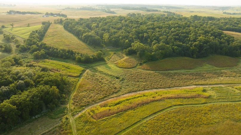 Cedar IA 152 Featured Z32