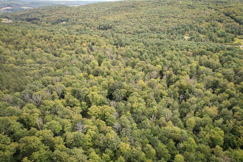 Chemung_60.55_Baumunk_Photos_35