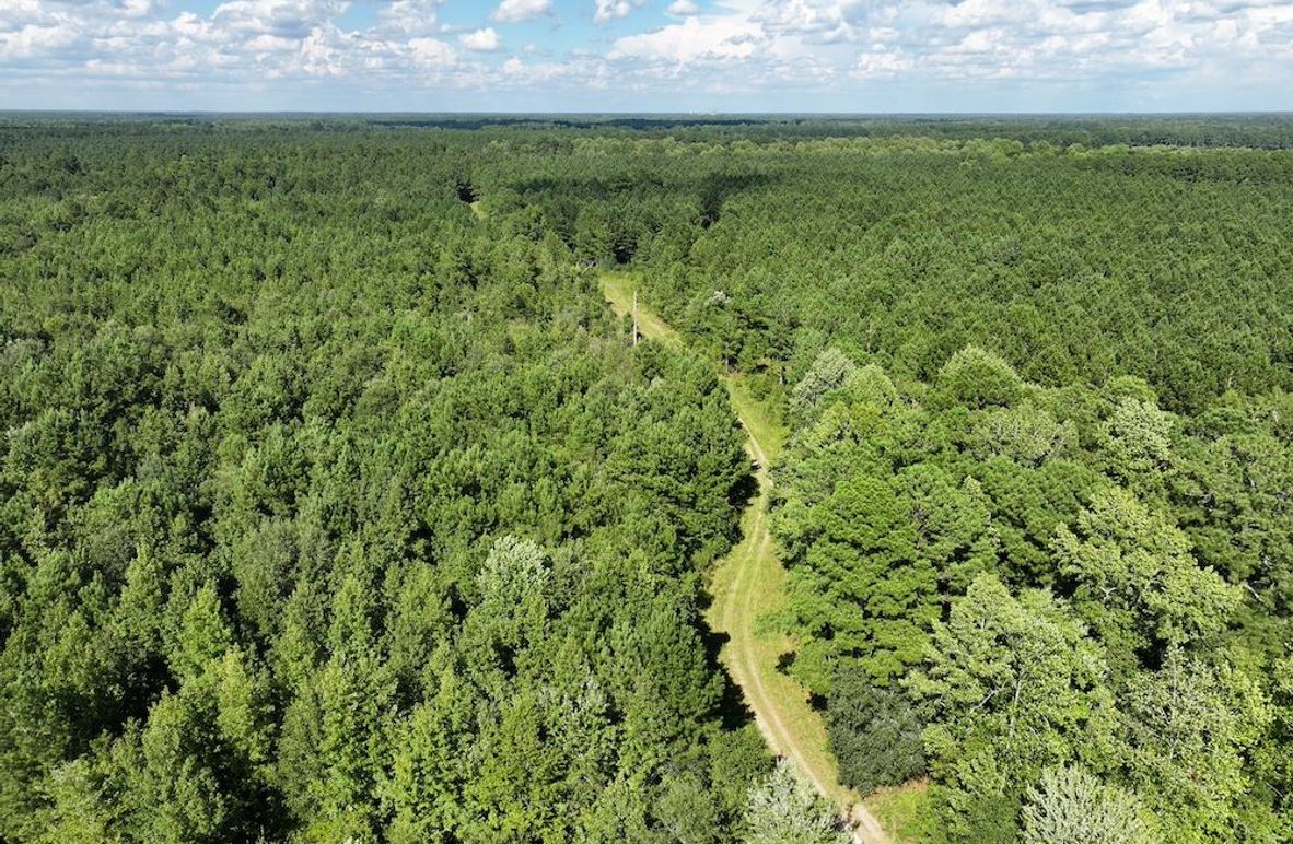 DJI_20240820163502_0005_D