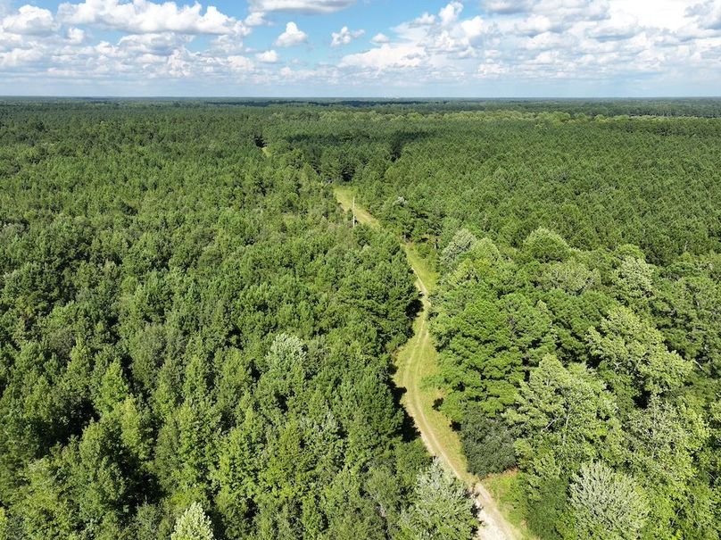 DJI_20240820163502_0005_D