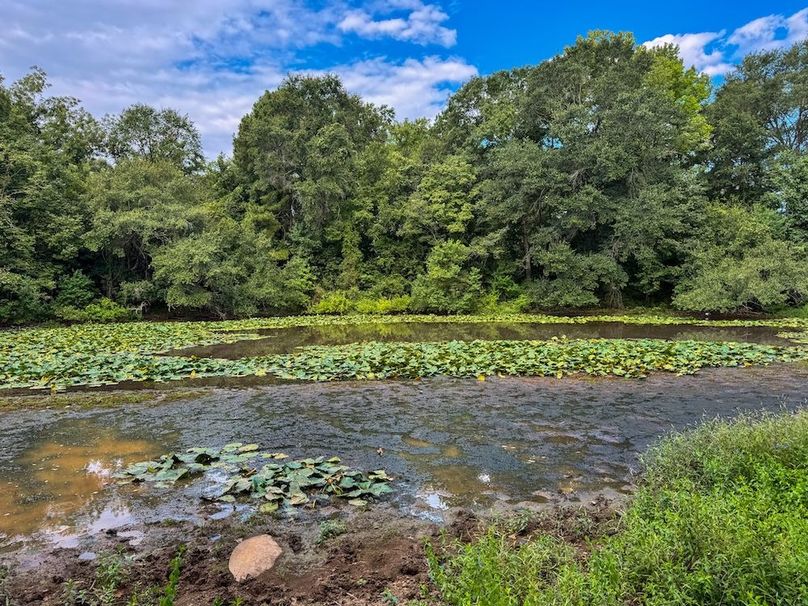 32 Jefferson 117ac - bethard-25