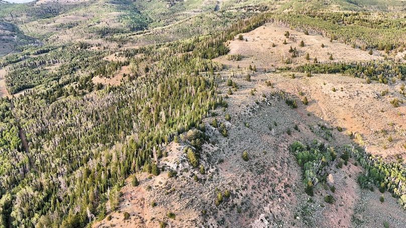 DJI_20250726190422_0270_D