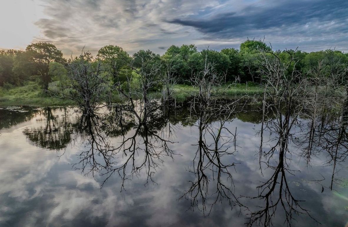 Fannin County- Pecan Ridge (9 of 53)