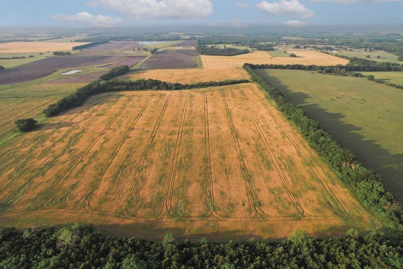 Lamar County- 92.66 Acres (7 of 29)