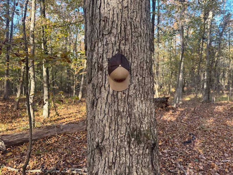 Jeff 11720251111_0207