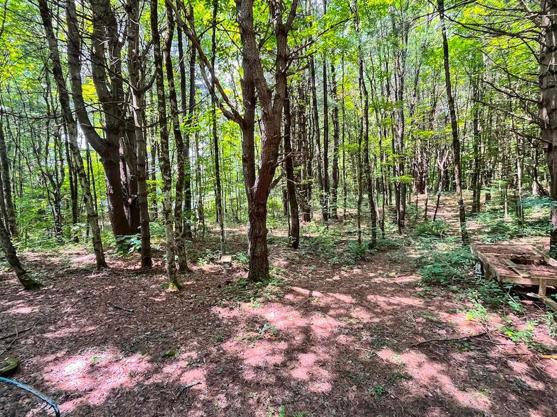 Oswego_20_Eck Photo 45