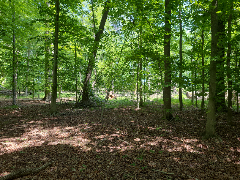 26.48ac_McKenneyLn_QAnnes_36