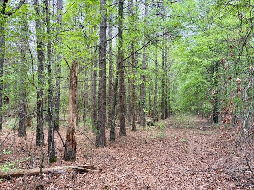 82D98A04-6DAD-433C-AFAF-C6F1F2814F0B_1_105_c