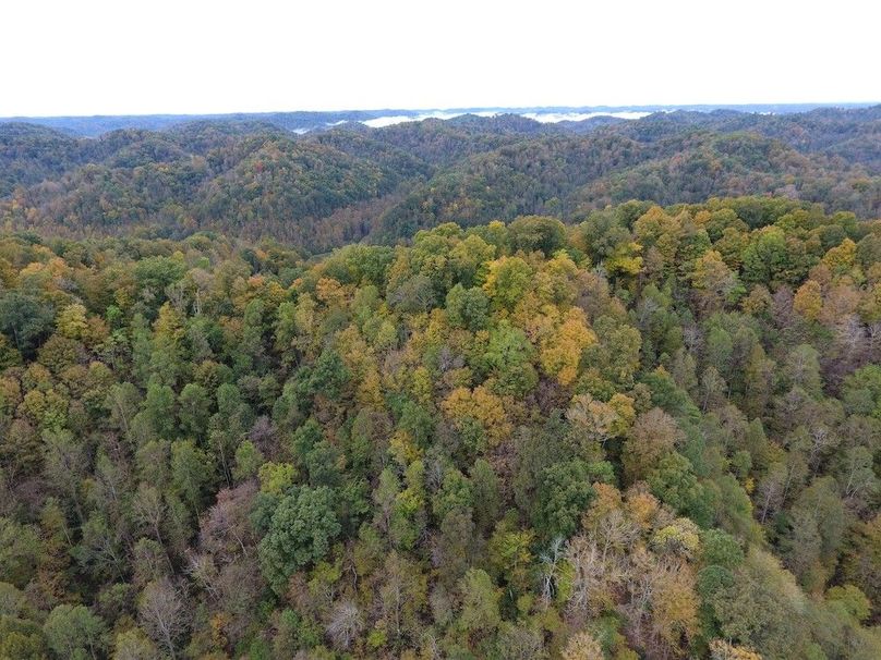 013 drone shot looking south from the center of the property