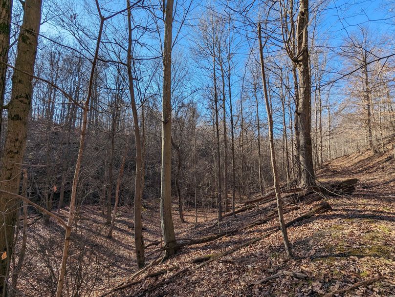 PXL_20231215_172229501