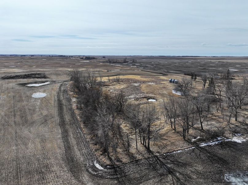 DJI_20250324135926_0393_D