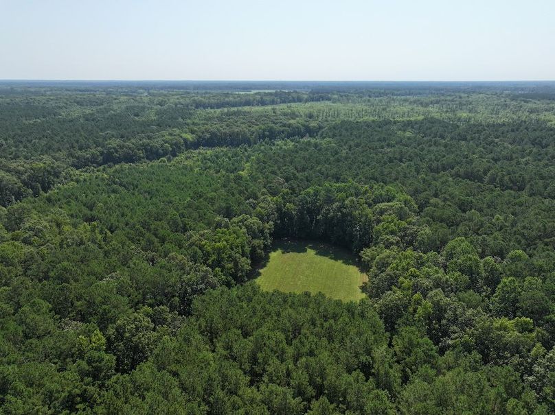 DJI_20250627100104_0102_D