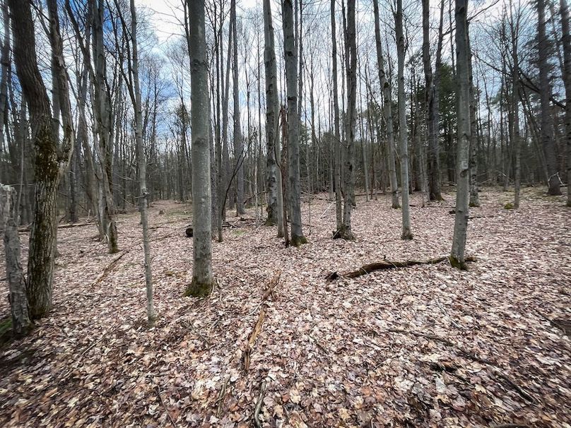 Tioga__NY_109.7_Burris_Photos_38