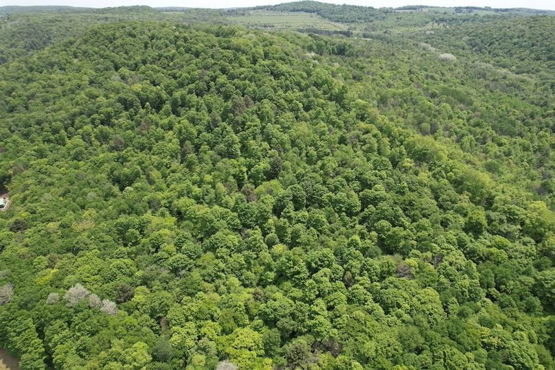 Tioga_78_Biada_Photos_86