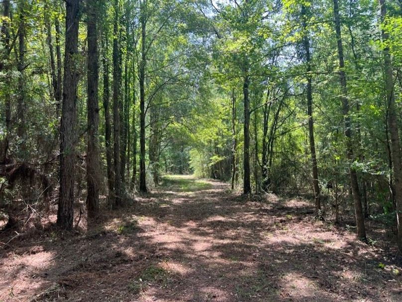 5896B740-3605-456C-B6AB-D74EF268F128_1_105_c